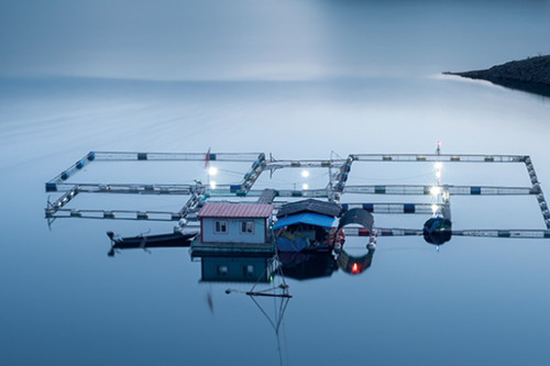 壁掛式（shì）多參數分析儀MPG-6099-水（shuǐ）產養殖