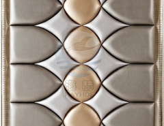 雙（shuāng）龍戲珠 軟包吸音板