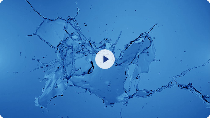 堅毅篤行13載 穩中求（qiú）進謀跨越